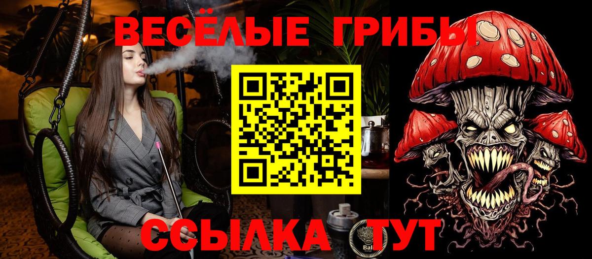 Галлюциногенные грибы мухоморы  Вход с VPN  Новоалтайск 